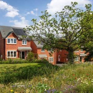 002 Bellway EM Ashlands Externals