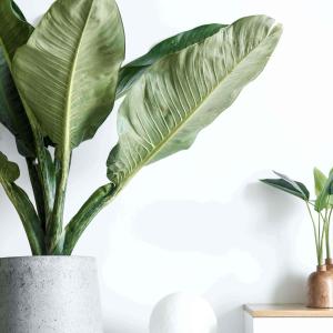 Linh le F Ygnw FMZBM0 unsplash 1