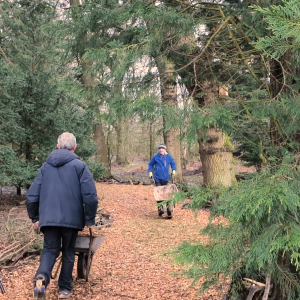 Jameson Manor Green Group 5