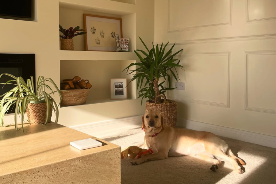 Our Nest header oursuffolkscrivener